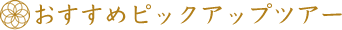 おすすめピックアップツアー